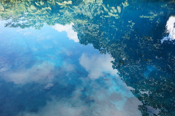 Blue hole in Vanuatu,Santo