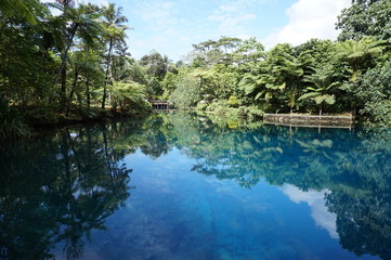 Fototapeta na wymiar Blue hole in Vanuatu,Santo