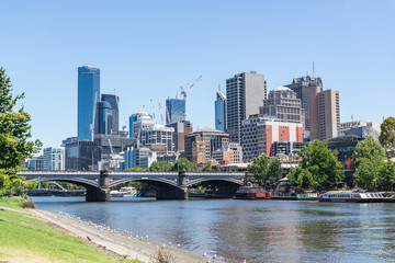Fototapeta premium city of Melbourne in Australia