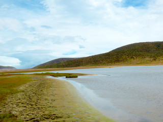 landscape with river