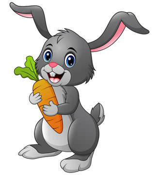 Rabbit holding carrot isolated on white background