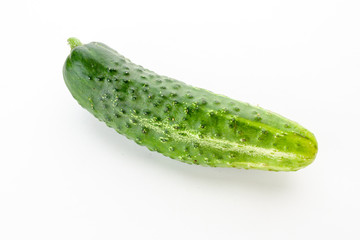 green cucumber just from the garden on a white background