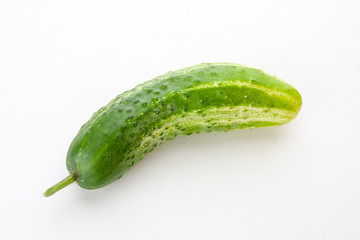green cucumber just from the garden on a white background