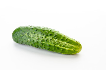 green cucumber just from the garden on a white background