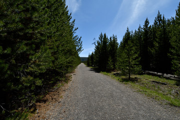 Fototapeta na wymiar Grand Prismatic Trail