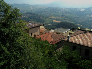 Fototapeta na wymiar City top view. Buildings with red roofs, conifers. Summer day.
