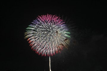 fireworks in the sky