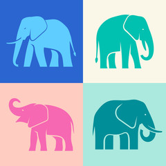 Set of Elephant logo. Icon design. Template elements