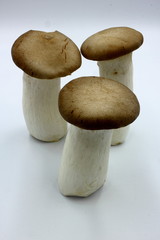 Mushrooms