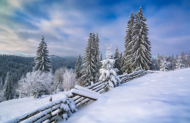 Alpine valley covered with hoar frost