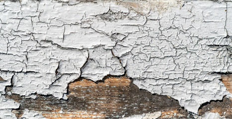 Wooden texture background. Old wood texture with white peeling paint. Grey and brown colours of wood. Different cracks. Background for text or design