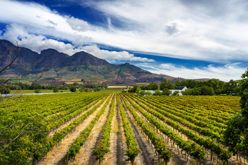 S&uuml;dafrika Tafelberg Kapstadt Waterfront Muizenberg
