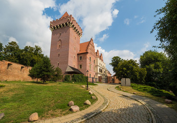 Fototapeta na wymiar Poznan, Poland - one of the main cities of the country, Poznan presents a wonderful rainassance Old Town. Here in particular the Royal Castle, built in 1249 and once home of the Polish King