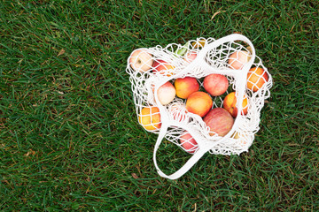 Female hand with cotton eco bag on green grass background. Zero waste concept