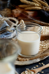 Vegan oat milk, non dairy alternative milk