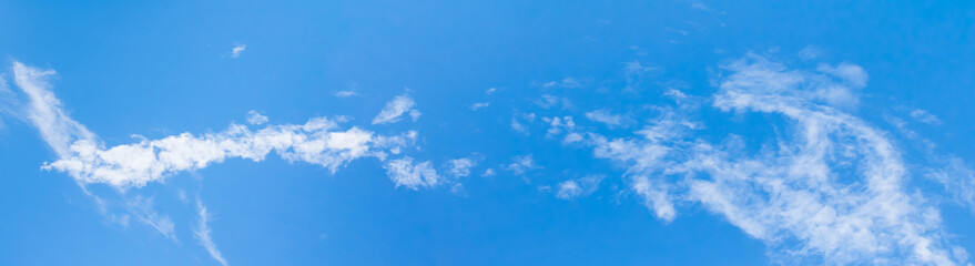 Fototapeta premium panoramic blue sky and clear cloud in summertime beautiful background