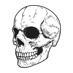 Hand drawn human skull on light background. Design element for logo, label, sign, pin,poster, t shirt. Vector illustration