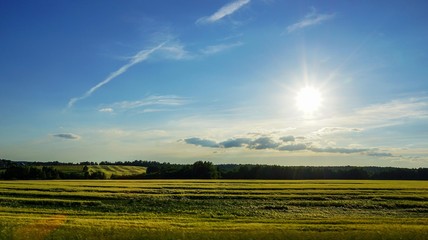 summer landscape, green field and forest on the horizon, the sun against the blue sky