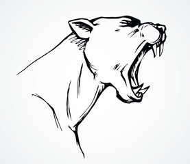 Open mouth. Grin. Vector drawing