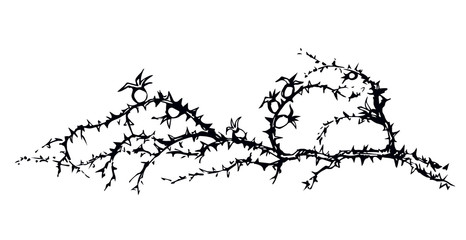 Branch of Blackthorn. Vector drawing