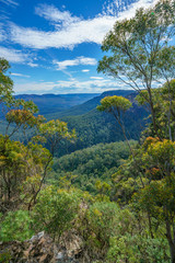 Obraz premium hiking in the blue mountains national park, australia