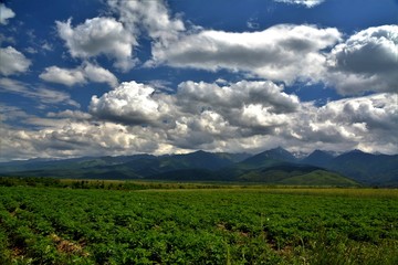 Fototapeta na wymiar Fagaras mountains with cloudy sky