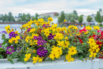 Fototapeta na wymiar Colorful flowers on the bridge of Savonlinna in Finland with water jet in the background