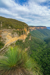 Fototapeta na wymiar hiking the overcliff walk in the blue mountains national park, australia