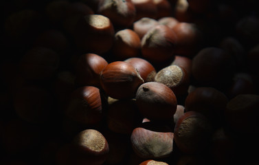 hazelnut hazelnuts in sunlight close-up