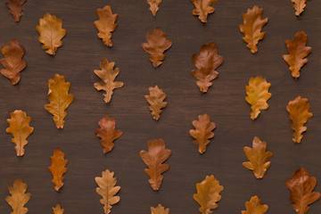 Autumn background with straight line of dry oak leaves