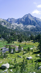 Mountains landscape with trees in summertime