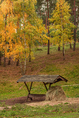 Deer feeder in the autumn full of colored forest