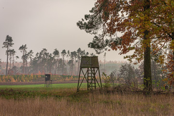Shooting tower and forest in the foggy autumn