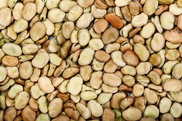 dry beans place for text