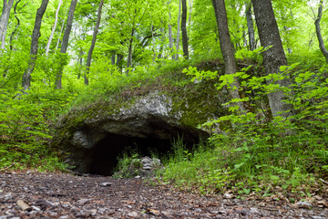 Small cave in forest