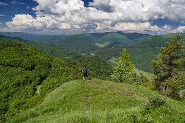 Fototapeta na wymiar Hiker looking from hill Zniev, Slovakia