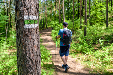 Fototapeta premium Hiker in forest walking on hiking trail