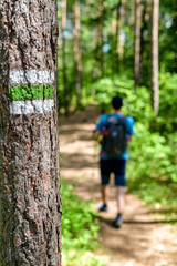 Obraz premium Hiker in forest walking on hiking trail