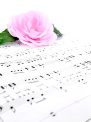 楽譜とピンクのバラ