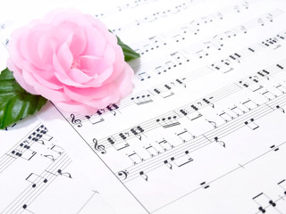 楽譜とピンクのバラ