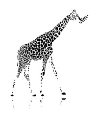 Giraffe, sketch for your design