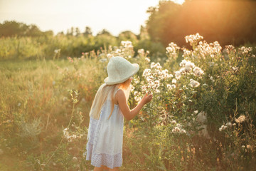 Blond girl with long hair in a hat and dress. A child in a field near large dandelions with a basket in his hands. Summer harvest of apples and plums.