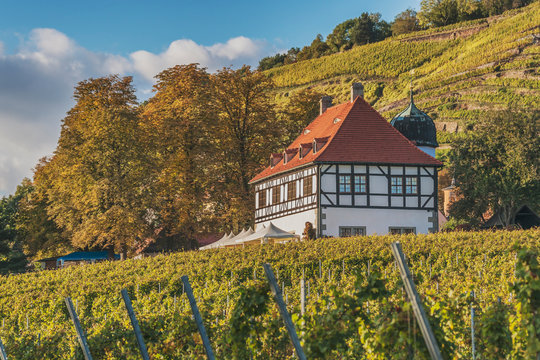 Schloss Hofl&ouml;&szlig;nitz, Radebeul