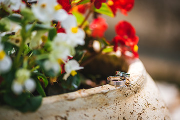 Two wedding rings on a flower pot