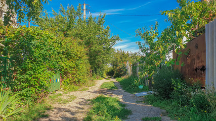 Rural Street, Country Houses between Trees and Bushes in Ukraine.