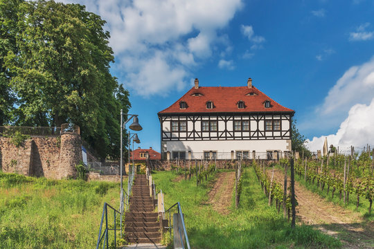 Schloss Hofl&ouml;&szlig;nitz, Radebeul | Castle Hofl&ouml;ssnitz, Radebeul