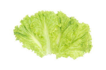 Salad leaf. Lettuce isolated on white background with clipping path.
