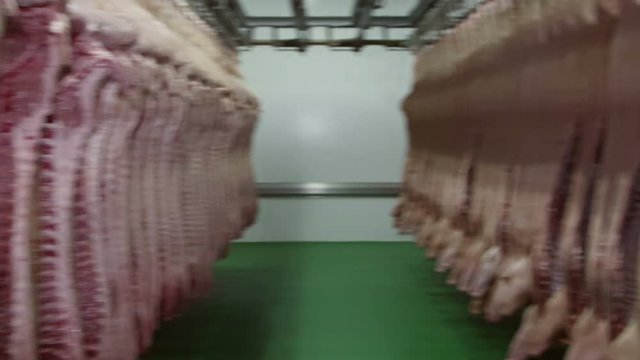 Pork carcasses hanging on hooks in a cold storage