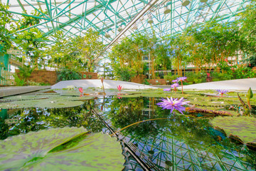 水生植物公園みずの森