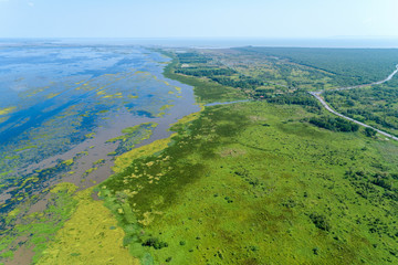 Naklejka premium Aerial view drone shot Top down of Green forest and lake beautiful wilderness nature scenery for background